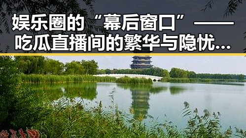 娱乐圈的“幕后窗口”——吃瓜直播间的繁华与隐忧对比