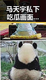 马天宇私下吃瓜画面曝光，真实一面让粉丝心动不已！🌟